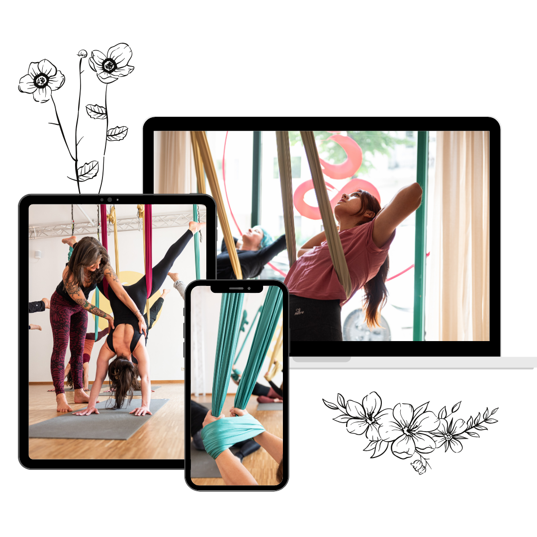 aerial-beginner-guide